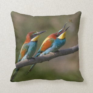 Coussin Oiseaux