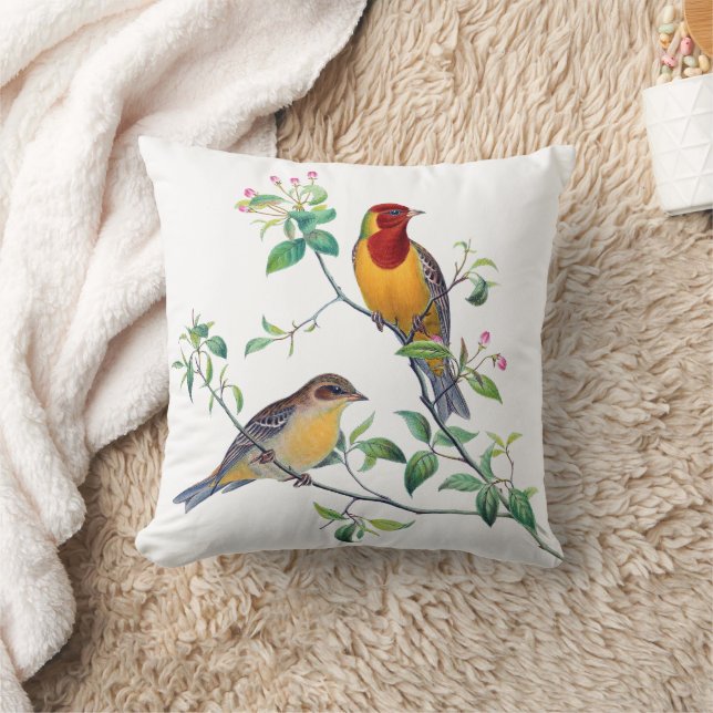Coussin Oiseaux bariolés sur des branches (Couverture)