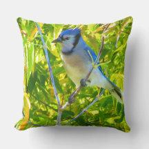 Oiseaux Canada Oie Bleu Nord Jay Personnalisé 2 Ph