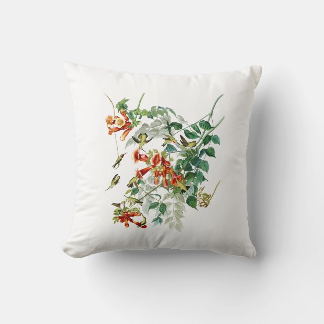 Coussin oiseaux Rubis-throated Amérique d'Audubon d'oiseau (Recto)