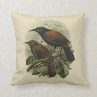 Coussin Oiseaux vintages de NZ de la Science - Saddleback