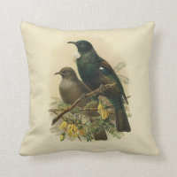 Oiseaux vintages de NZ de la Science - Tui