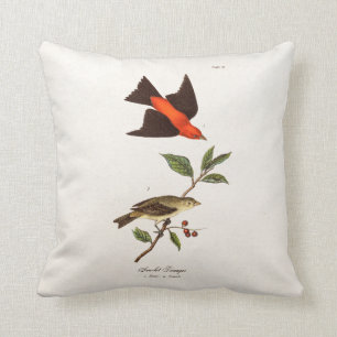Coussin Oiseaux vintages d'oiseau chanteur d'oiseau de