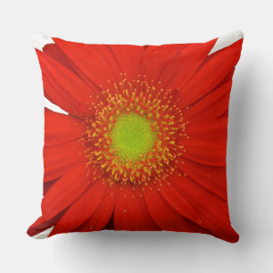 Coussin Orange Gerbera Daisy Flower