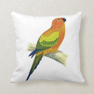 Coussin orange No.10 de perroquet