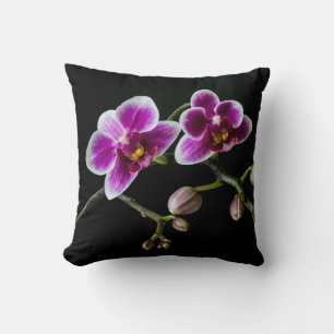 Coussin Orchidée rose blanc couleur sur noir pâle doux