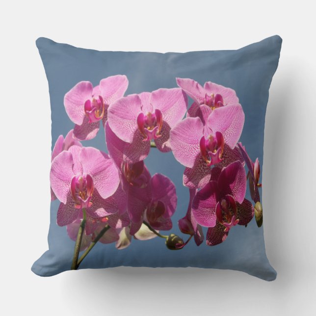 Coussin Orchidées Magenta Phalaenopsis contre le ciel bleu (Recto)
