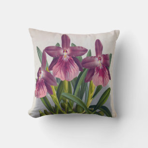 Coussin Orchidées vintages de Lady Miltonia Spectabilis