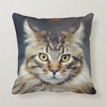 Oreille à lancer de chat Tabby