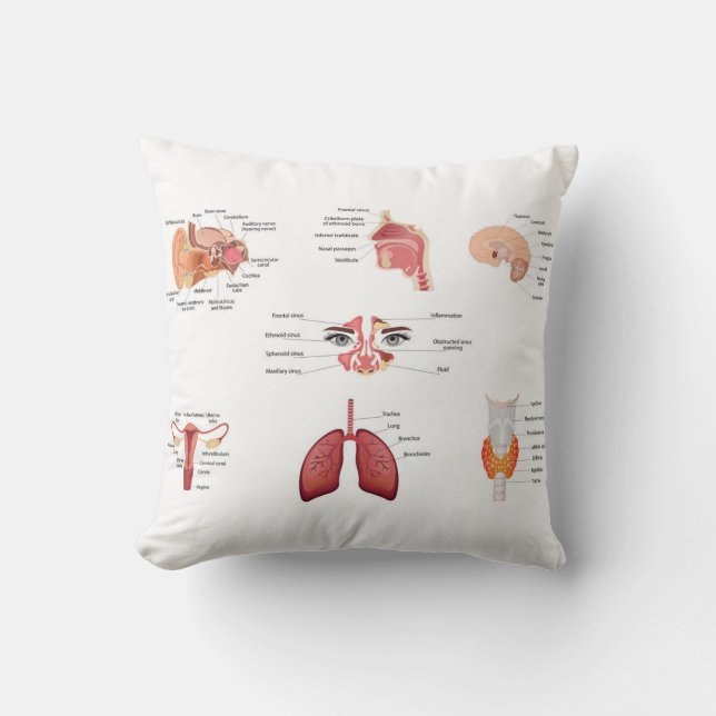 Coussin Organes humains internes (Recto)