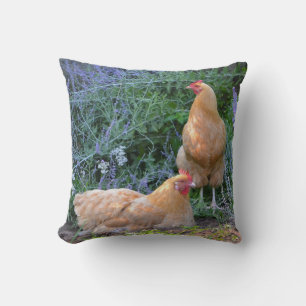 Coussin Orpington Hen étonnant