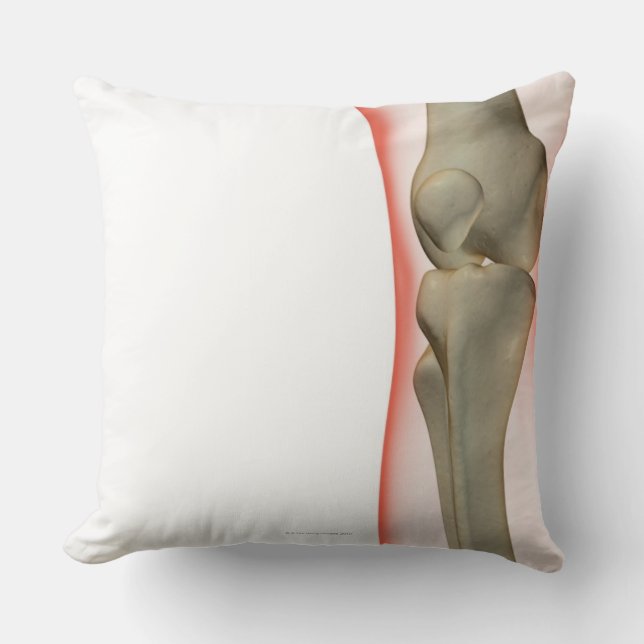 Coussin Os du genou 2 (Recto)