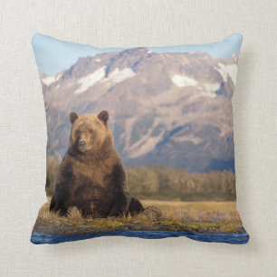 Coussin ours brun, Ursus arctos, grizzli, Ursus