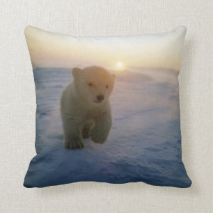 Coussin Ours CUB de #2-Polar