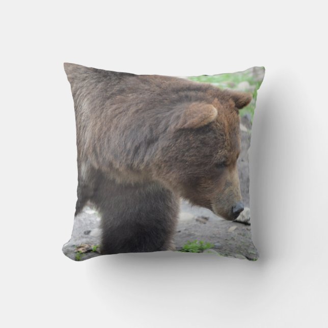 Coussin Ours gris (Recto)