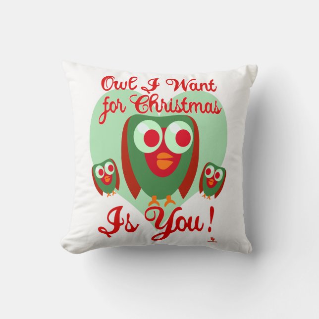 Coussin Owl Je Veux Pour Les Jours Fun Fun Fun (Recto)
