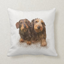 "Pair O’Doxical Puppies"