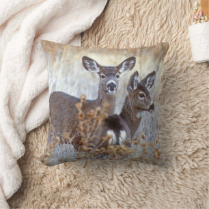 Coussin Paire de cerfs de Mule sauvage Californie