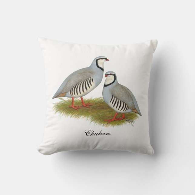 Coussin Paire de perdrix de Chukar (Recto)