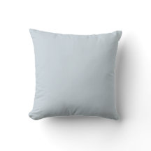 Pale Blue Mist Solid Color Pairs To SW 6526