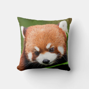 Coussin Panda roux mignon