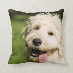 Coussin Panneaux de coquelicot de Goldendoodle