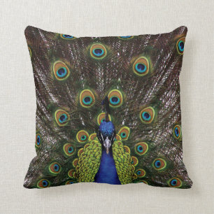 Coussin Paon