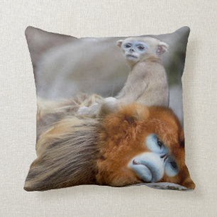 Coussin Papa singe à nez doré avec bébé