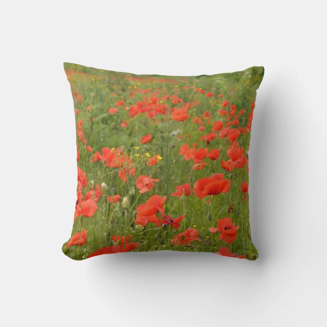 Coussin Papes rouges sur le terrain (Recto)