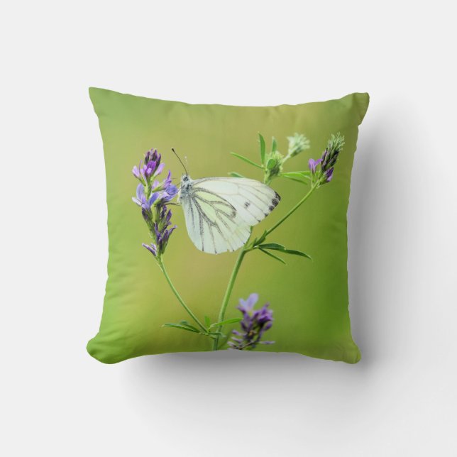 Coussin Papillon Blanc à Veines Vertes (Recto)