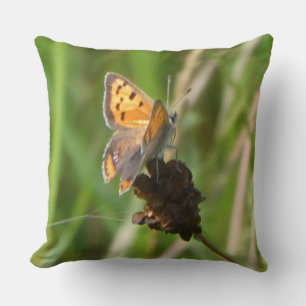 Coussin Papillon de cuivre commun sur l'oreiller à lancer 