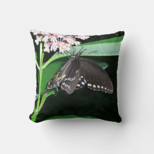 Coussin Papillon de nuit Papillon noir à queue fourchue à