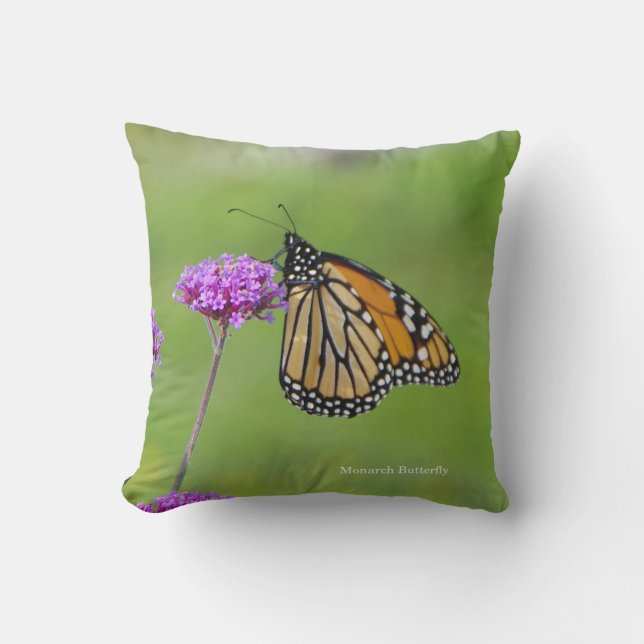 Coussin papillon Monarch (Recto)