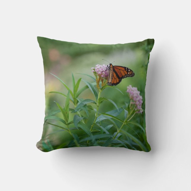 Coussin Papillon monarque (Recto)