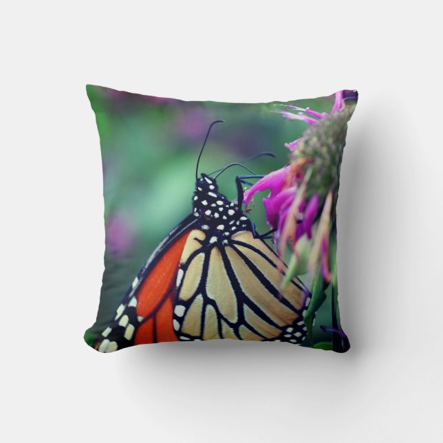 Coussin Papillon Monarque En Fleur Fermer (Recto)