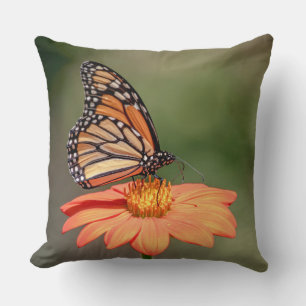 Coussin Papillon Monarque sur une fleur d'orange