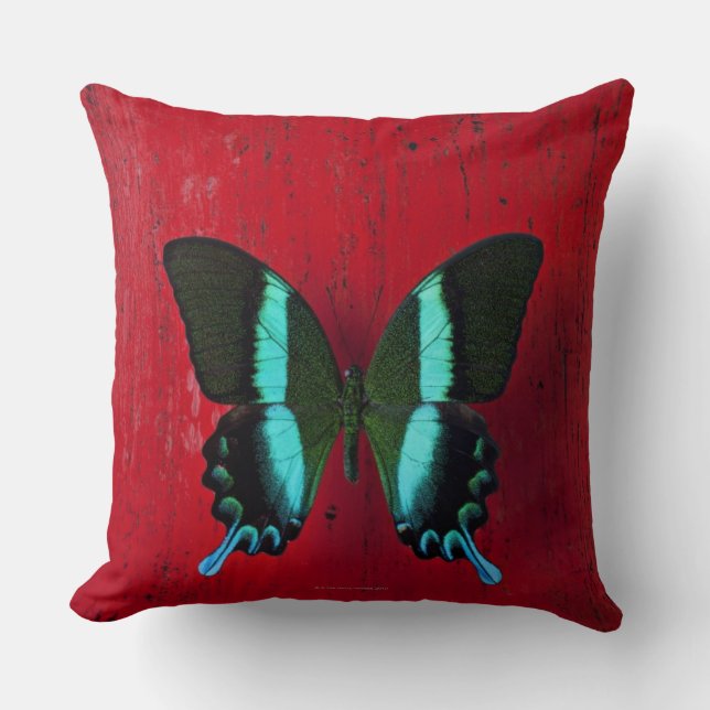 Coussin Papillon noir et bleu sur le mur rouge (Recto)
