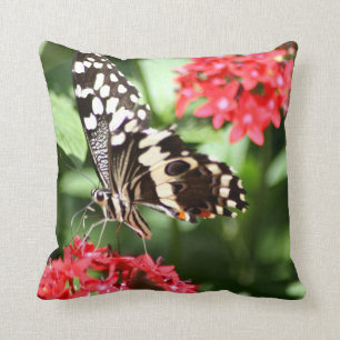 Coussin Papillon rayé de zèbre