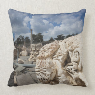 Coussin Parc national de Beit She-An, ruines de l'époque r