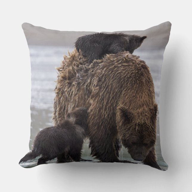 Coussin Parc national de Clark de lac bear Brown | (Recto)