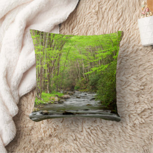 Coussin Parc national des Great Smoky Mountains Caroline d