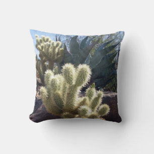 Coussin Parc national du Saguaro Plantes du désert Arizona