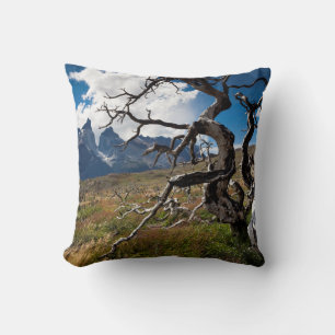 Coussin Parc national Torres del Paine, arbres endommagés 
