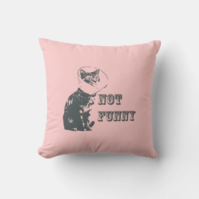 Coussin Pas drôle (Recto)