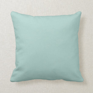 Coussin Pastel Aquamarine bleu-vert couleur solide SW 0063