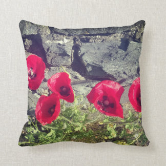 COUSSIN PAVOT IRLANDAIS ET MUR EN PIERRE
