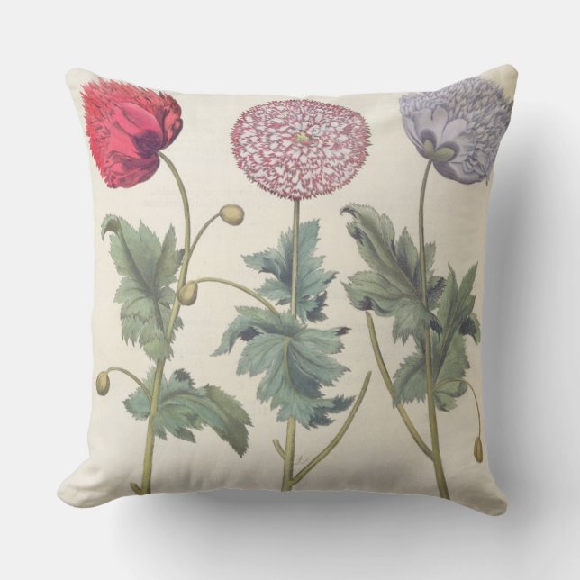 Coussin Pavots : rubicundis multiplex des albumoris (Recto)