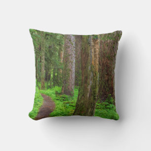 Coussin Paysage de forêt ancienne