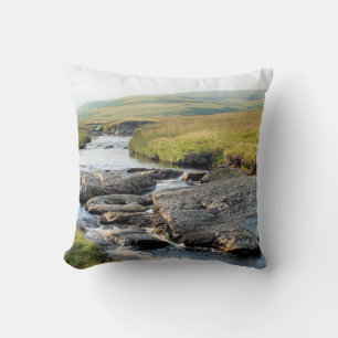 COUSSIN PAYSAGE GALLOIS