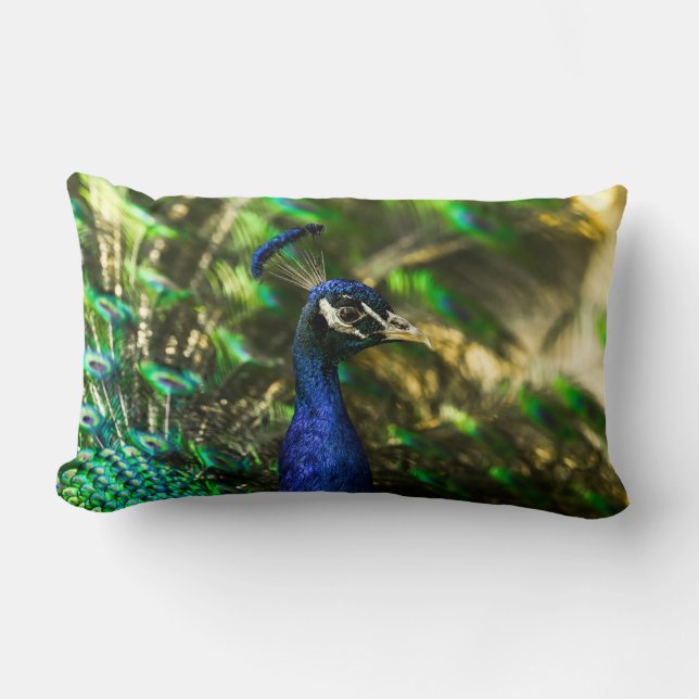 Coussin Peacock (Recto)